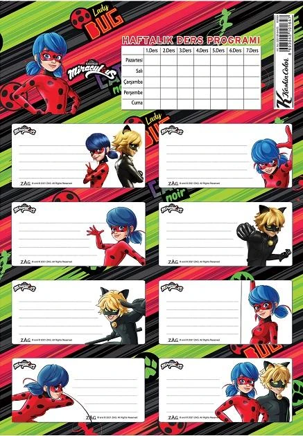 Keskin 220130-84 Lady Bug Ders Prog.3Lü Etiket