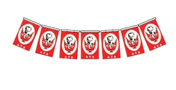 Vatan Vt808 Orta İpli Atalı Bayrak 50Li