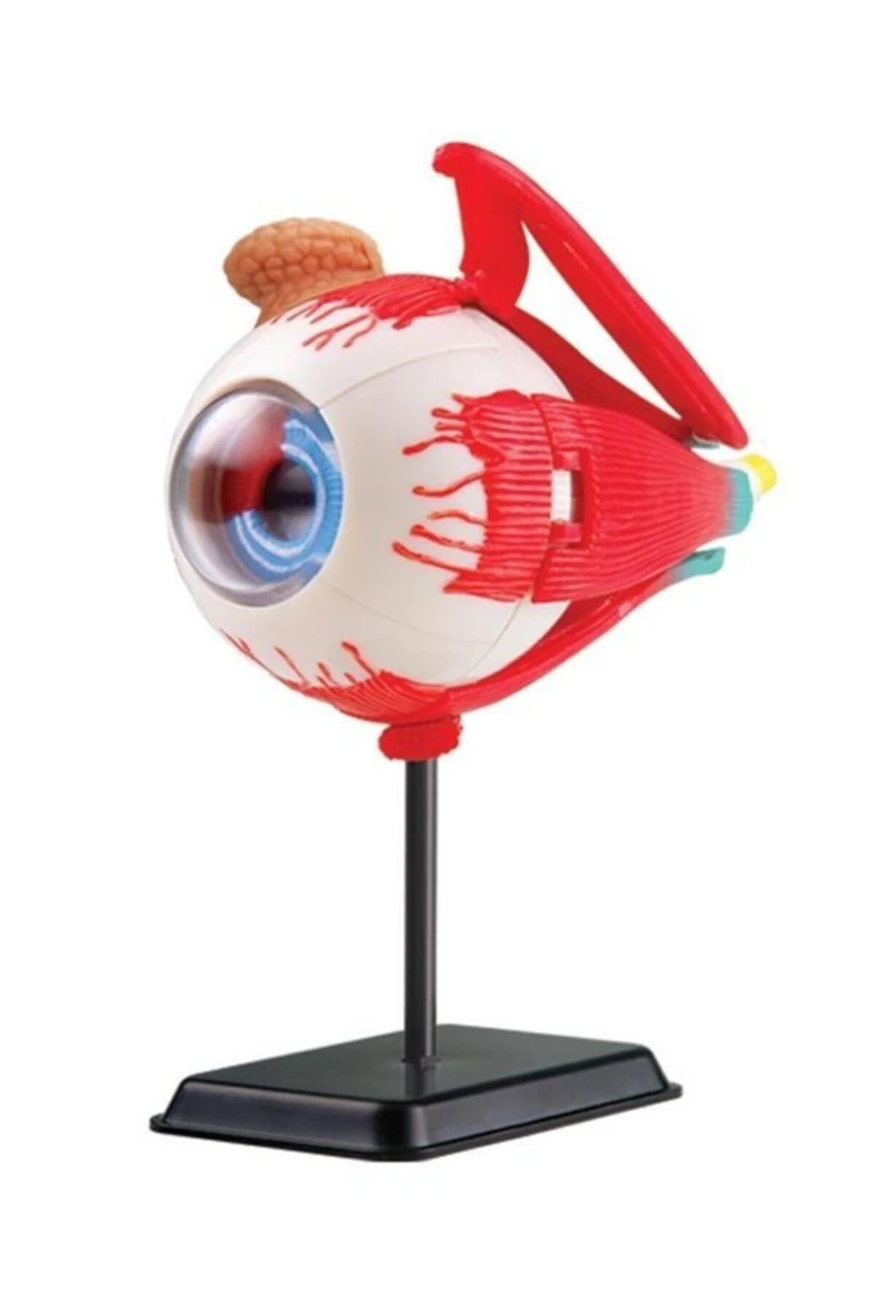 Eco Shop Göz Modeli