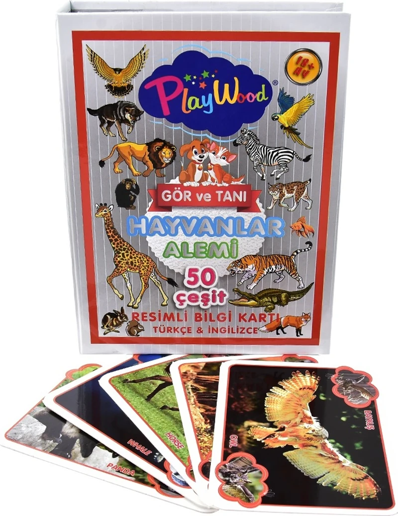 Onyıl Ony-27 Eğitici Resimli Bilgi Kartı Rakamlar