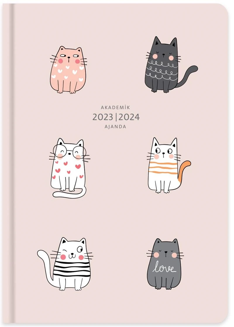 Keskin 830253-99 17*24 Ciltli Akademik Ajanda - Rengarenk