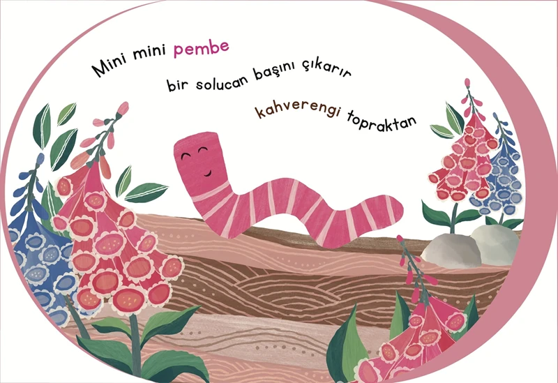 Renkler Kitabı / Şerif Hayvanlar Aleminde - Şeyma Kara