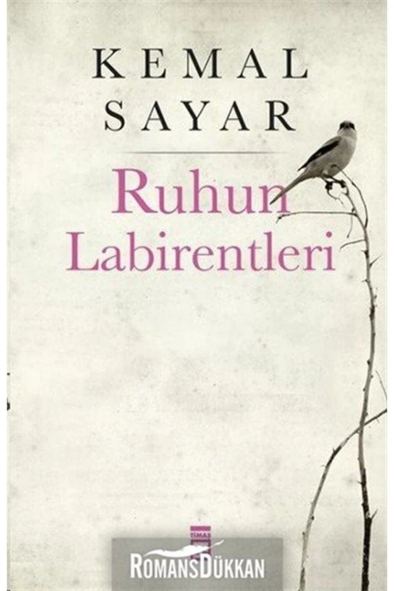 Ruhun Labirentleri - Kemal Sayar