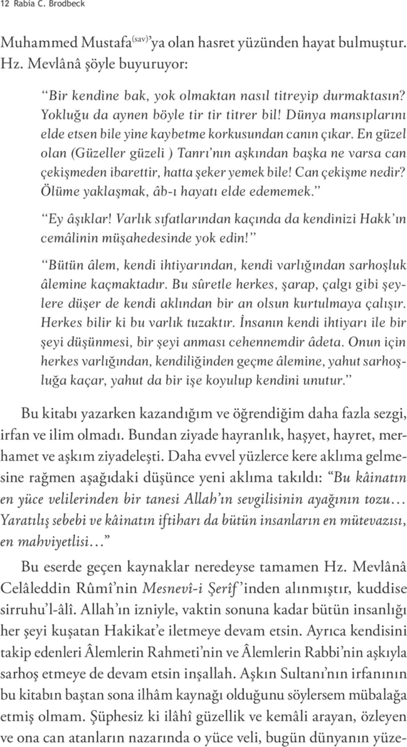 Aşk Mesleği (Velayet)-Rabia Christine Brodbeck