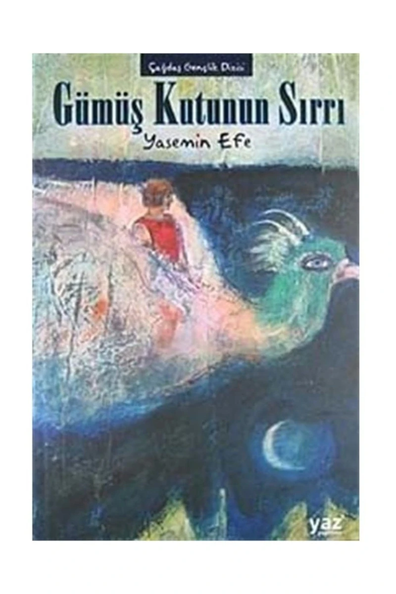 Gümüş Kutunun Sırrı-Yasemin Efe