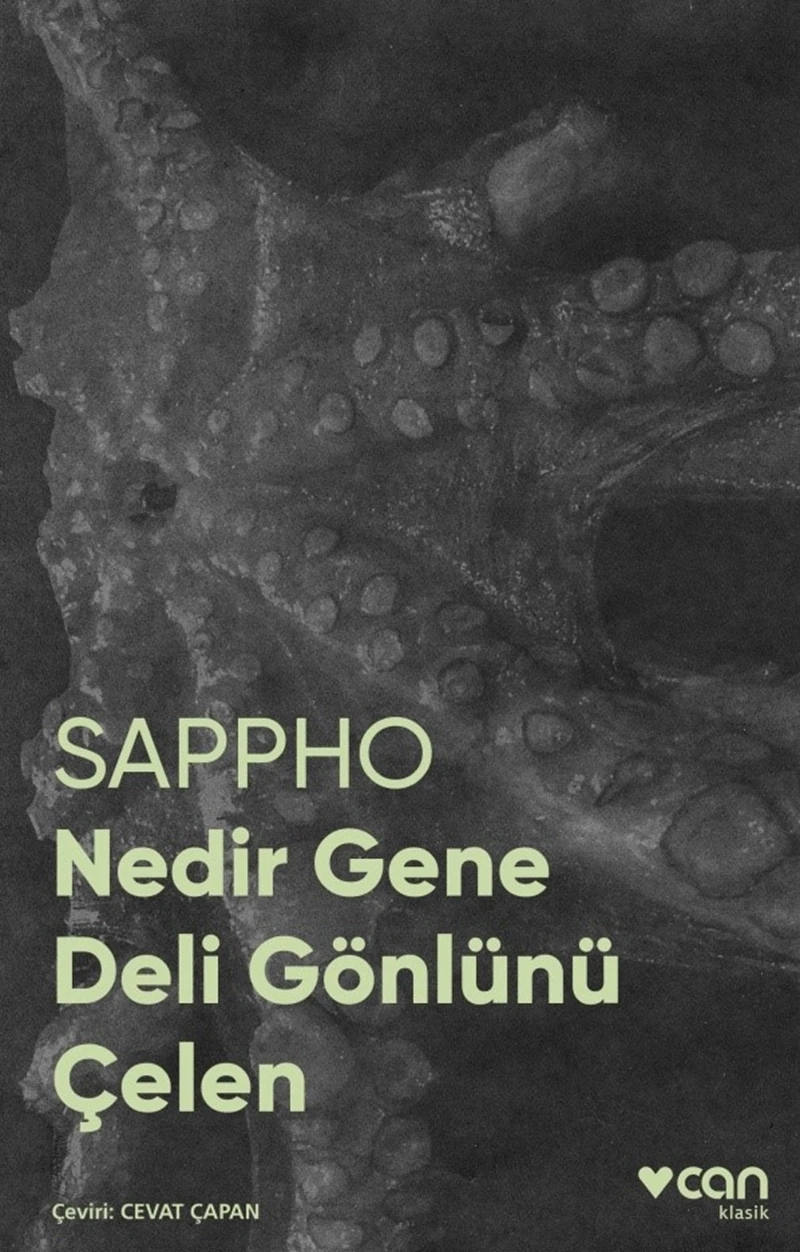 Nedir Gene Deli Gönlünü Çelen - Sappho