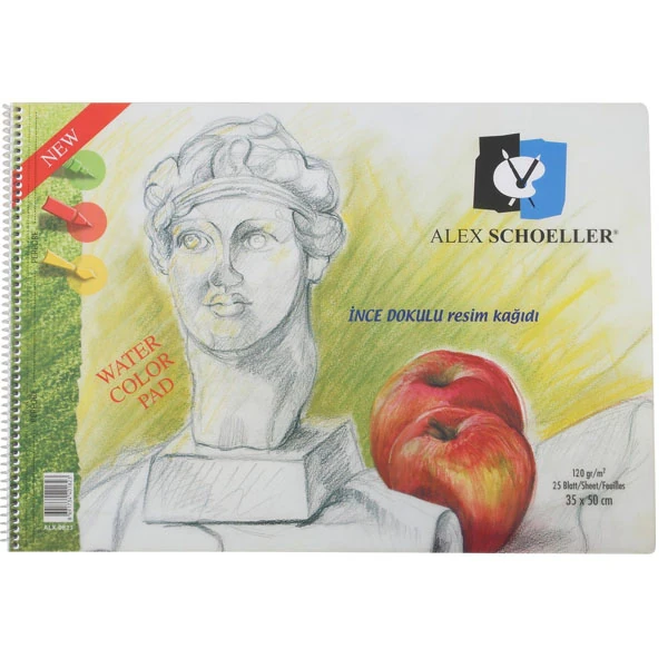 Alex Alx-823 Spr.Şef.Kp.120Gr 35*50 25 Syf Resim
