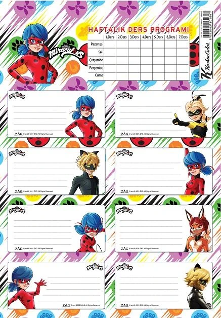 Keskin 220130-84 Lady Bug Ders Prog.3Lü Etiket