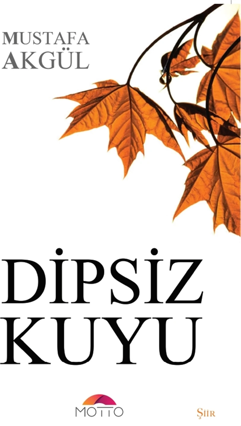 Dipsiz Kuyu - Mustafa Akgül