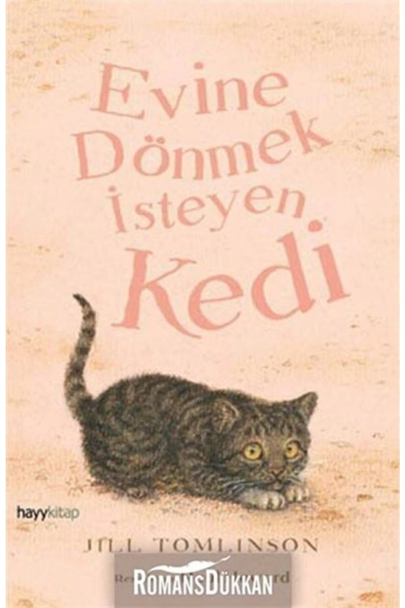 Evine Dönmek İsteyen Kedi