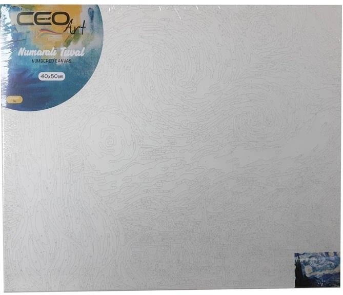 Ceo Art Tuval 40X50 Numaralı Gökyüzü Tn0003