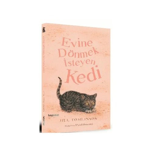 Evine Dönmek İsteyen Kedi