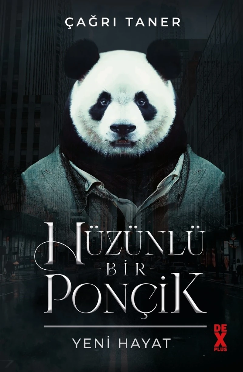 Hüzünlü Bir Ponçik - Yeni Hayat - Çağrı Taner