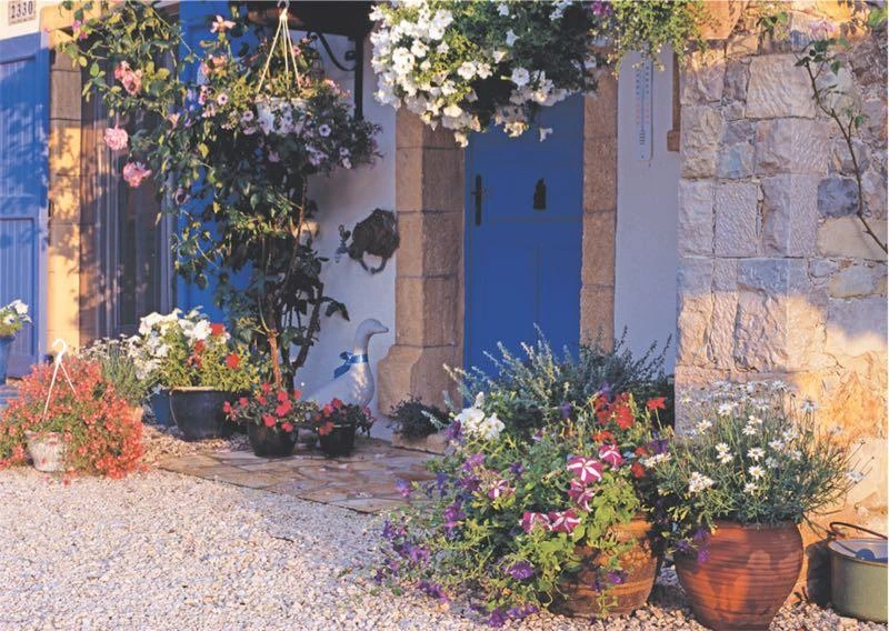 Keskin 260418-99 34*49 500Lü Yapboz Willynin Evi