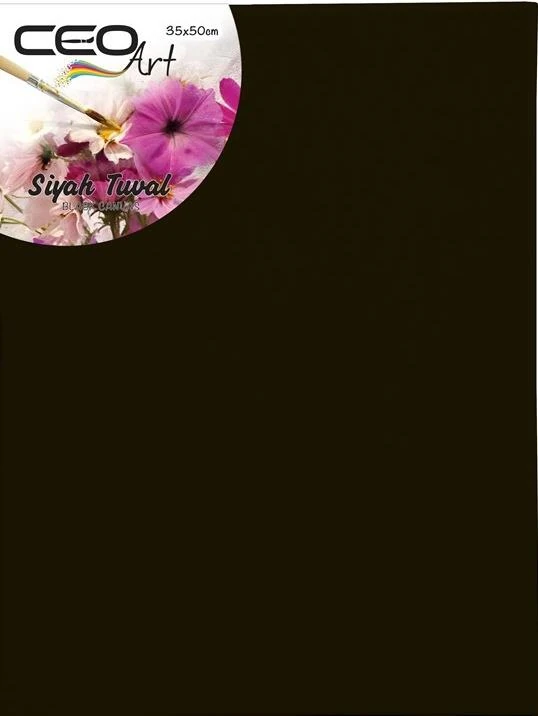 Ceoart 35X50 Siyah Tuval