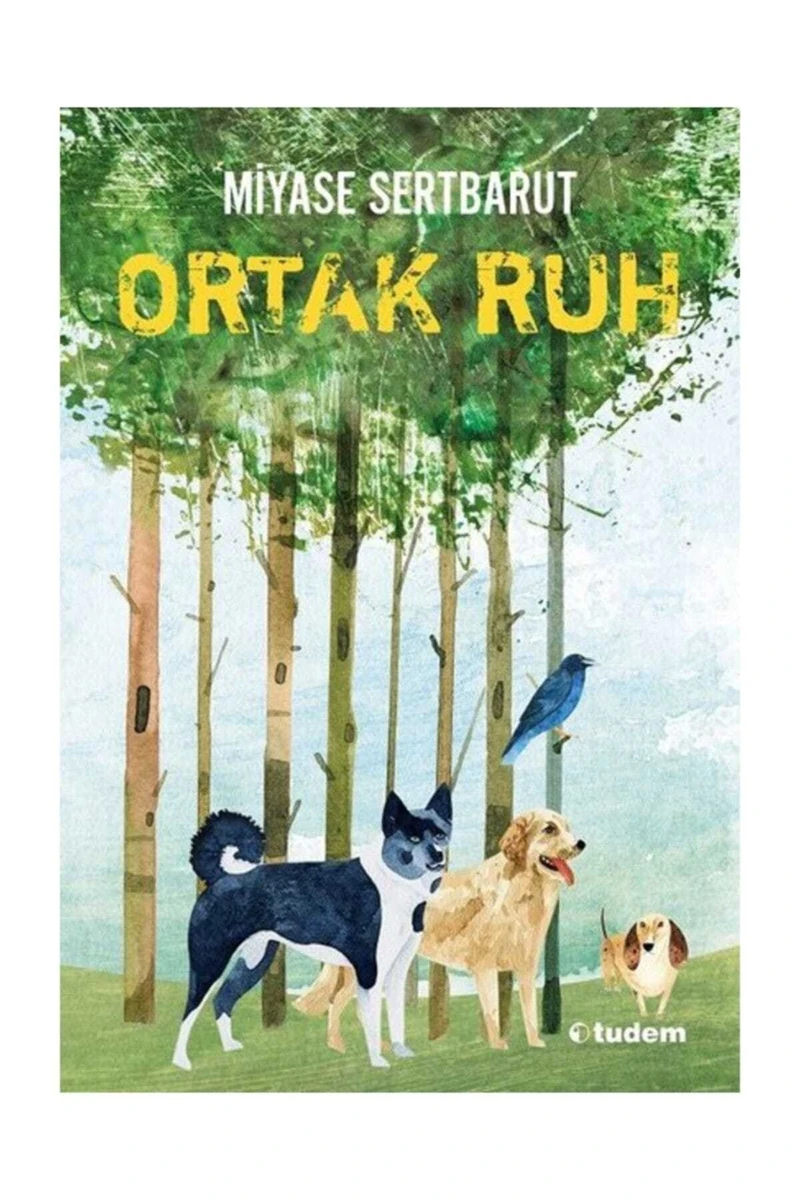 Ortak Ruh - Miyase Sertbarut