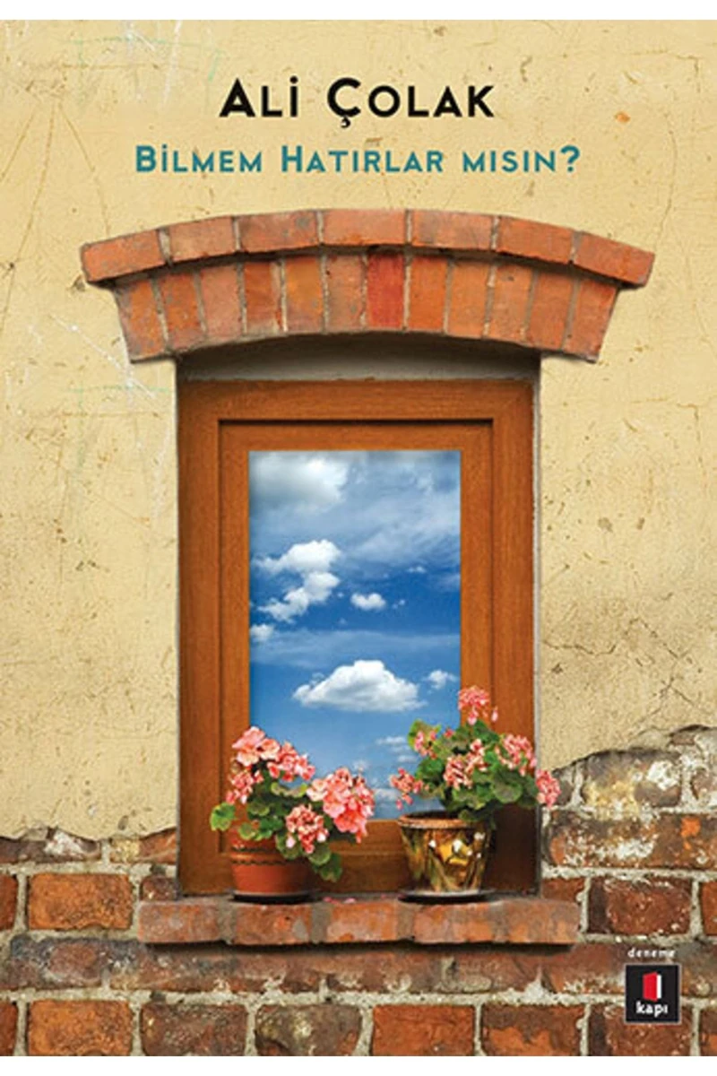 Bilmem Hatırlar Mısın? - Ali Çolak