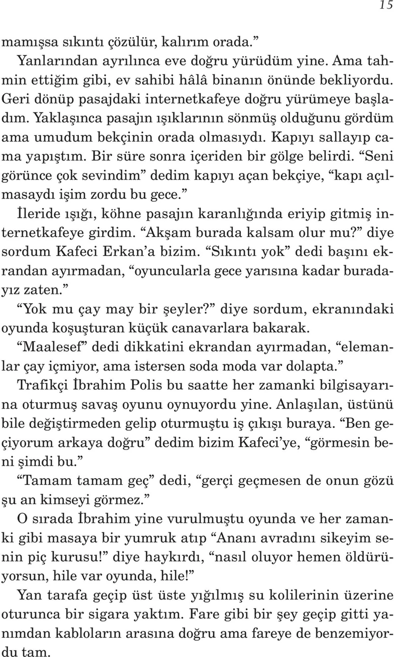 Bir Taşra Köpeği - Akın Aksu