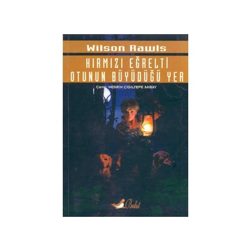 Kırmızı Eğrelti Otunun Büyüdüğü Yer