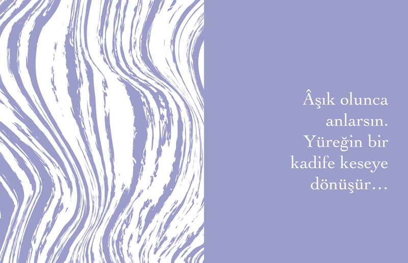 Aşkın Kırk Kuralı - Elif Şafak