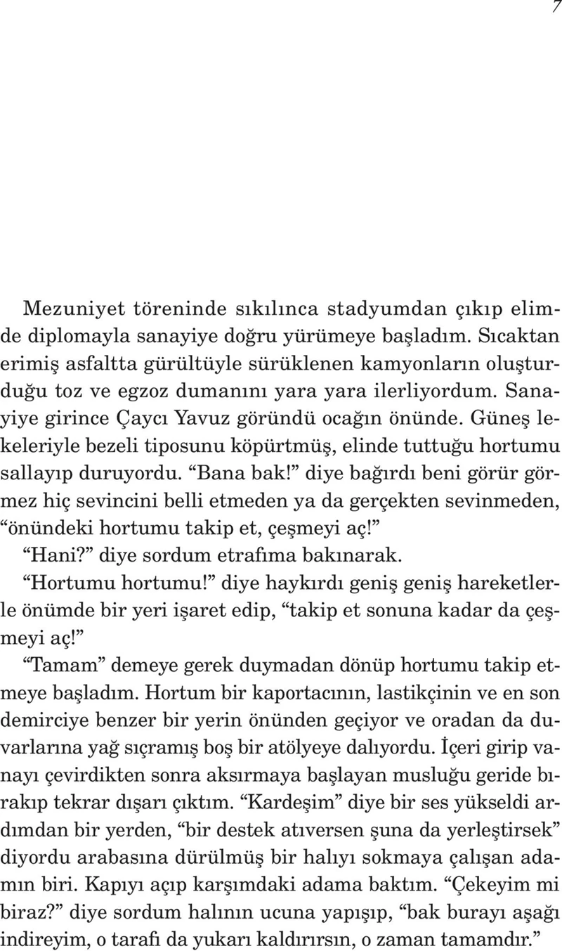 Bir Taşra Köpeği - Akın Aksu