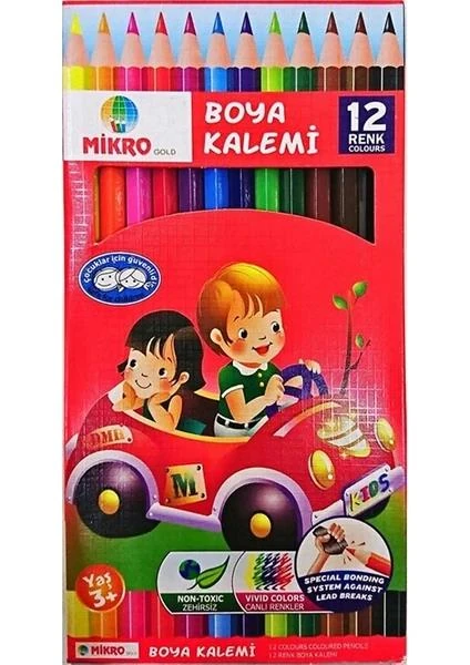 MIKRO KURU BOYA KALEMI 12 LI UZUN KARTON KUTU