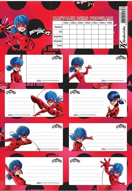 Keskin 220130-84 Lady Bug Ders Prog.3Lü Etiket