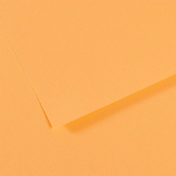 Canson 200321144 Sh Canmt 50*65 160Gr Ylw 470