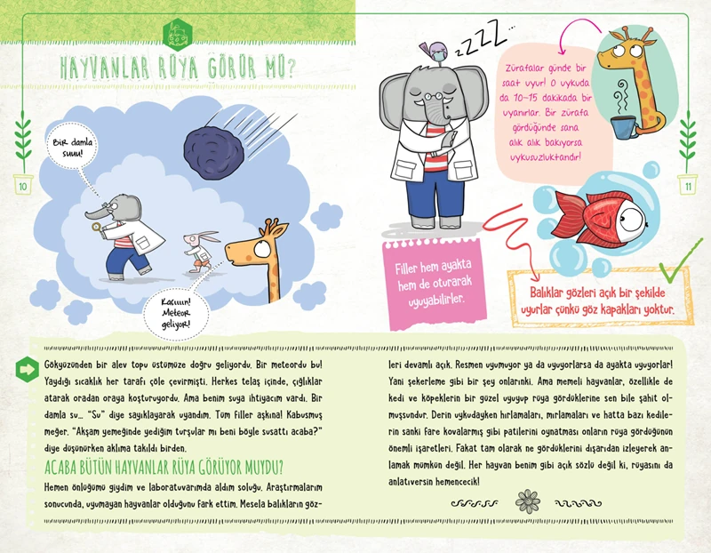 Fil Ozof’Un Doğa Günlüğü - Fatih Dikmen