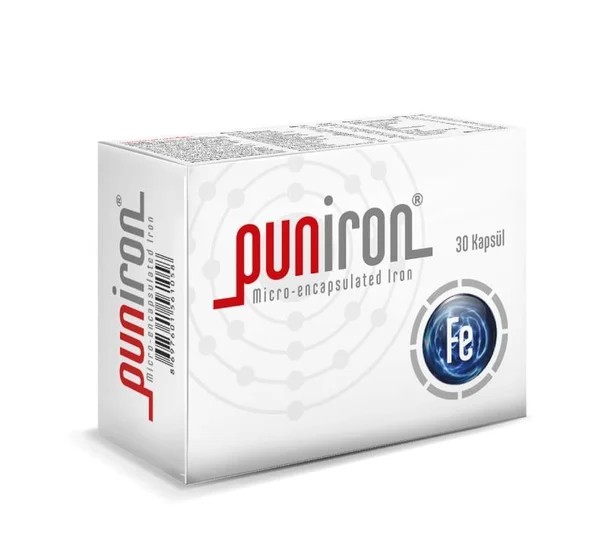  Puniron