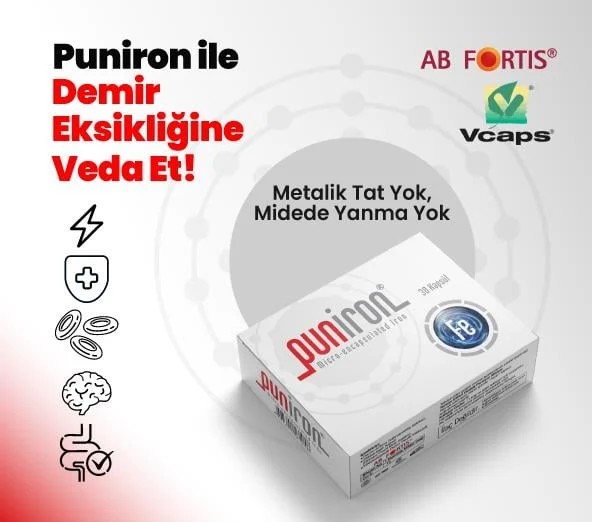  Puniron