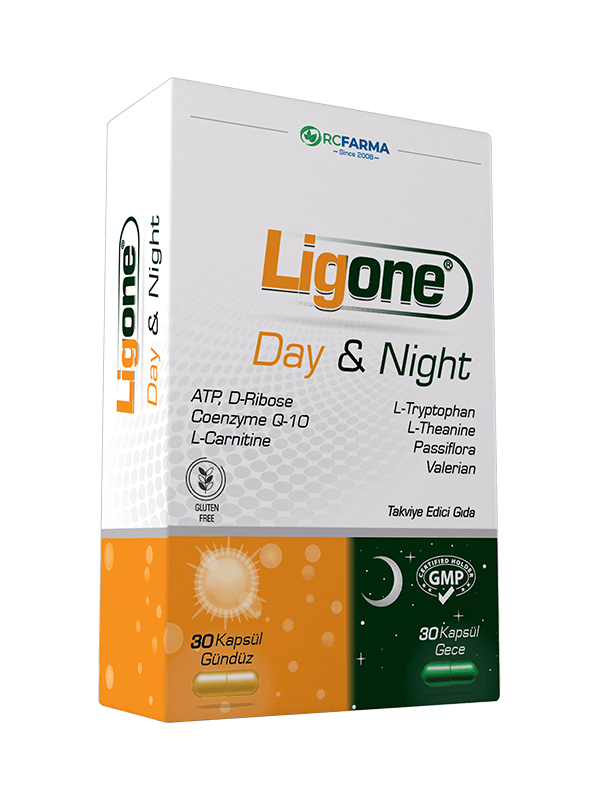 Li̇gone Day & Ni̇ght 30 Kapsül