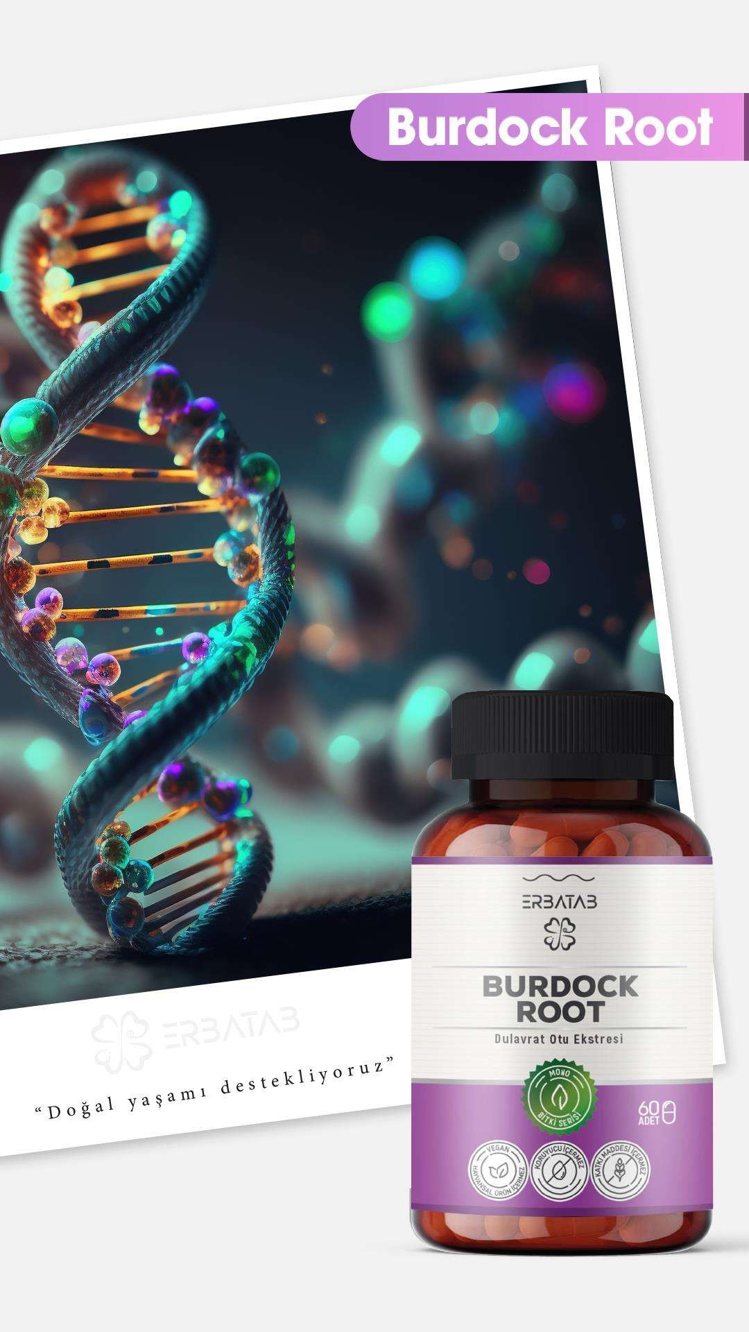 Burdock Root