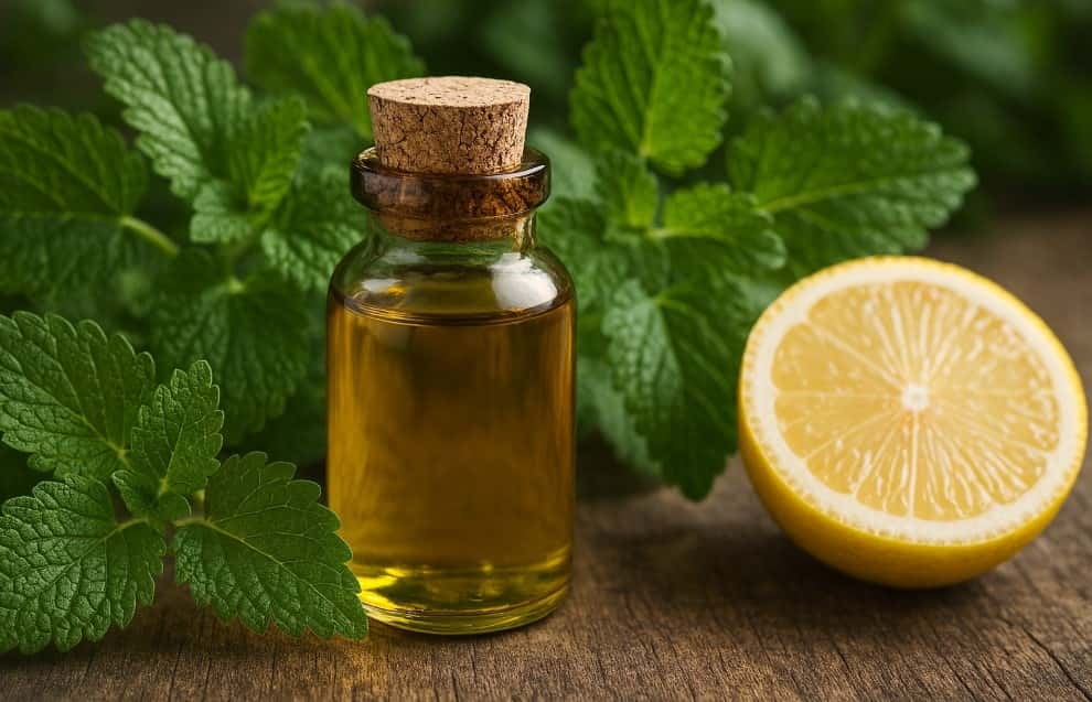 Limon Otu Yağı Faydaları