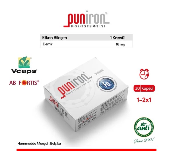  Puniron