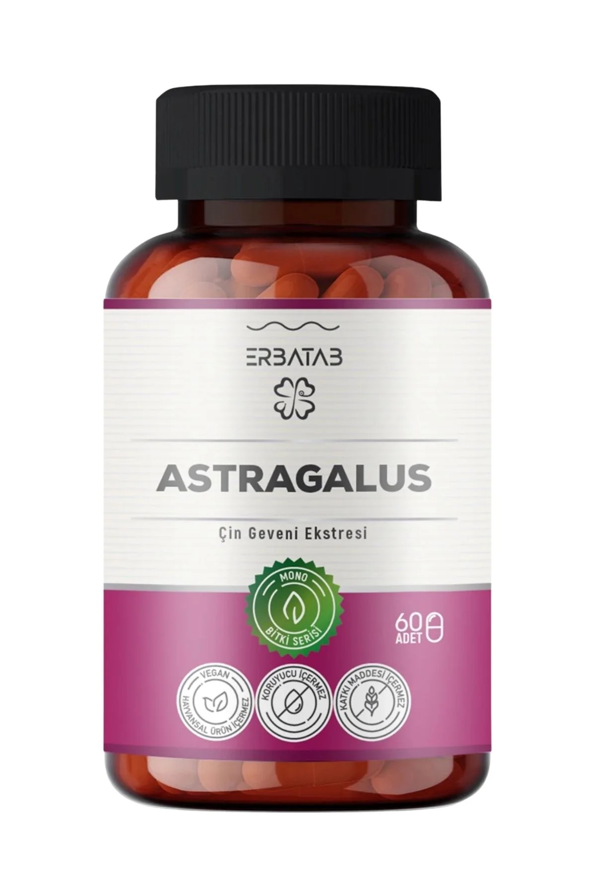 Astragalus