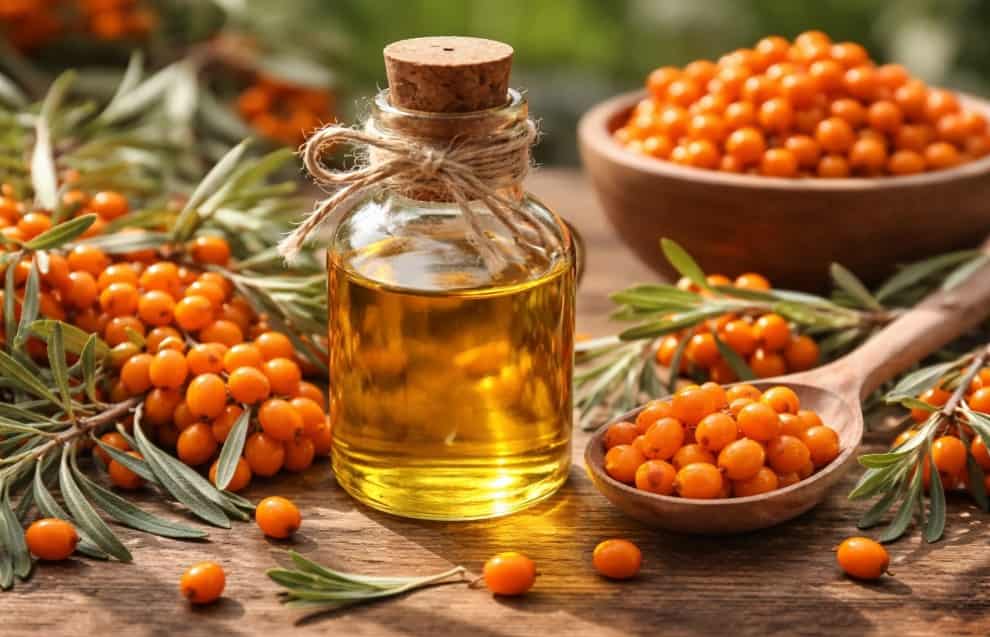 Yabani İğde Yağı Faydaları