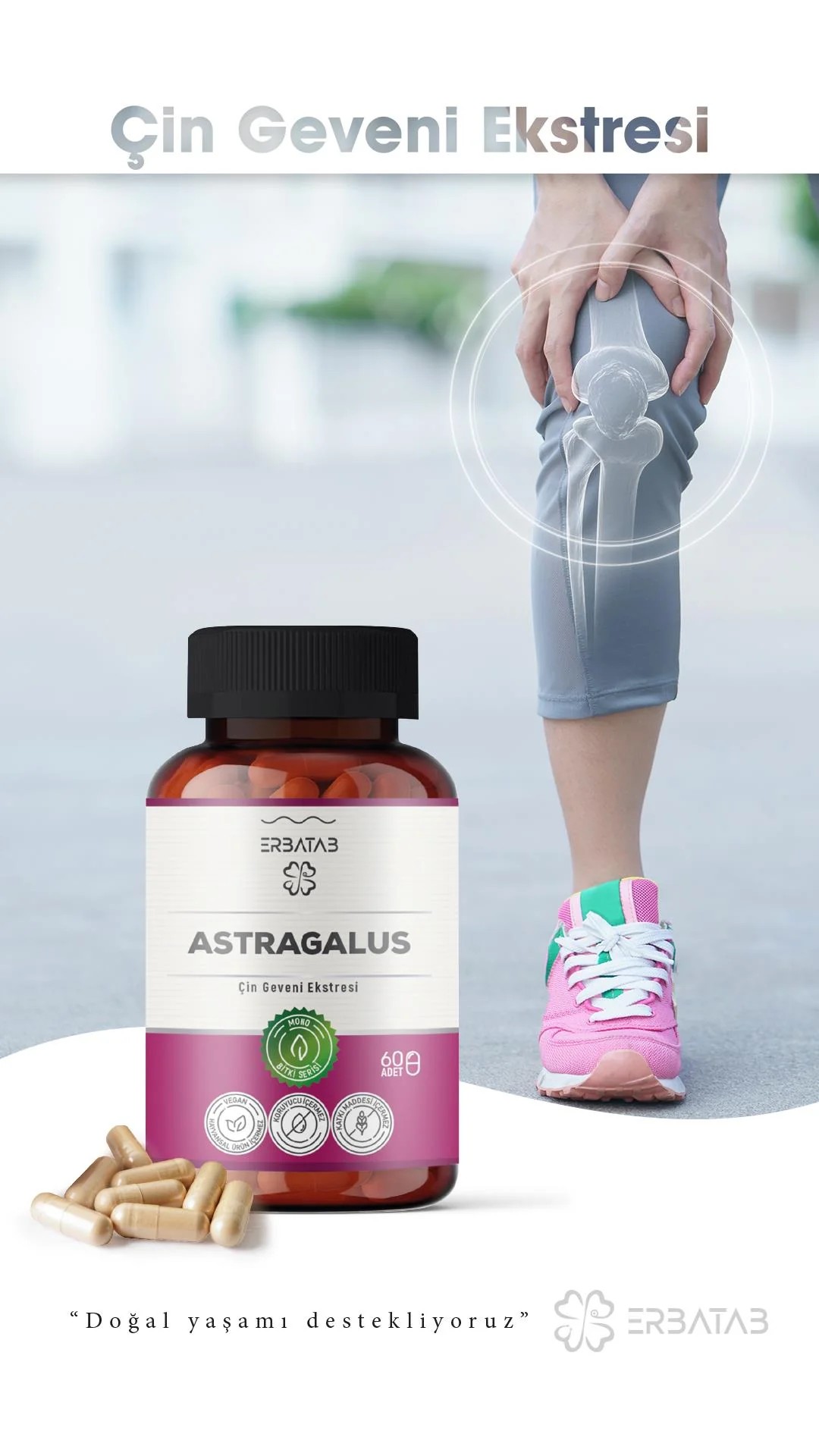 Astragalus