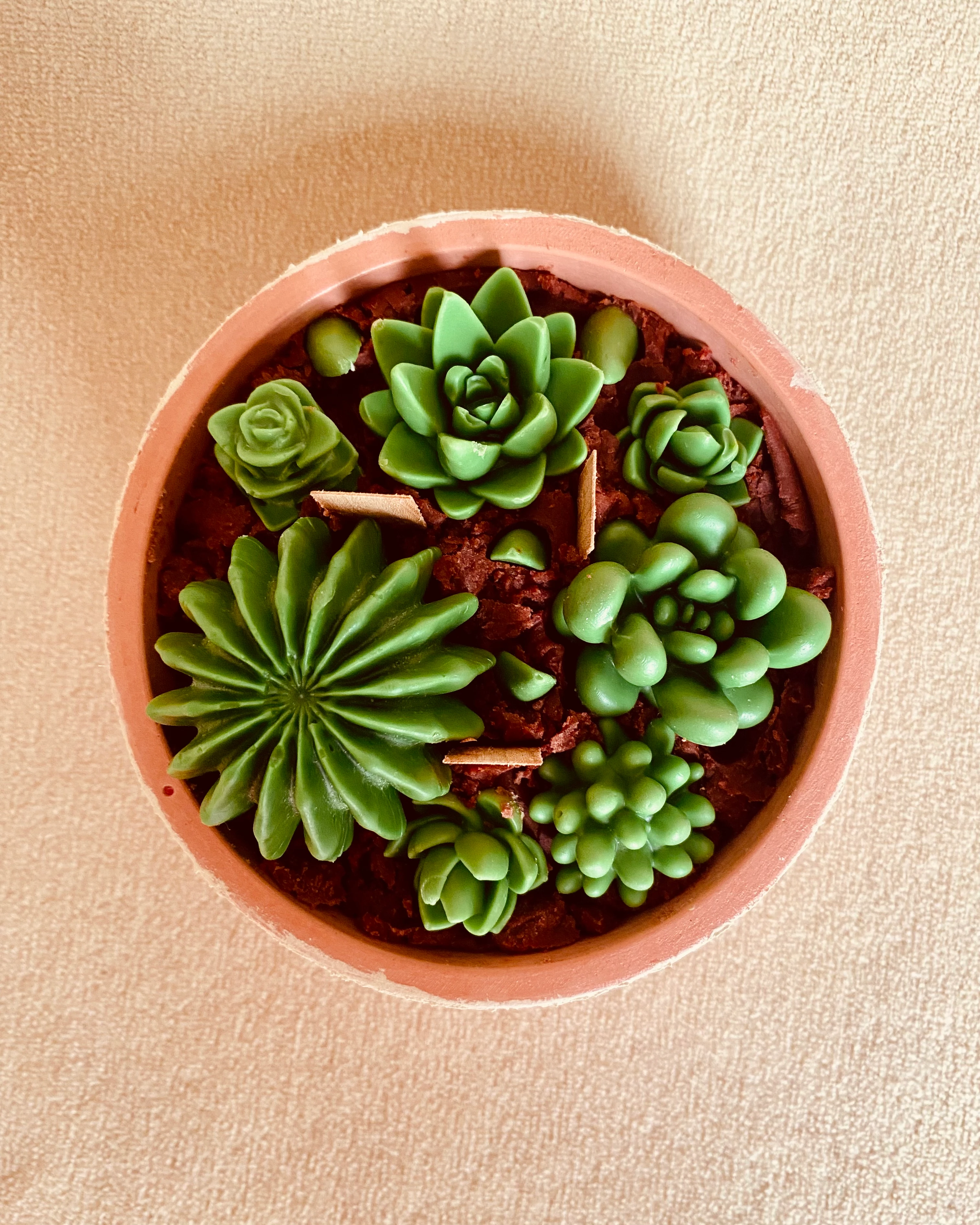 Terracotta Desert Garden – El Yapımı Sukulent Tasarım Saksı