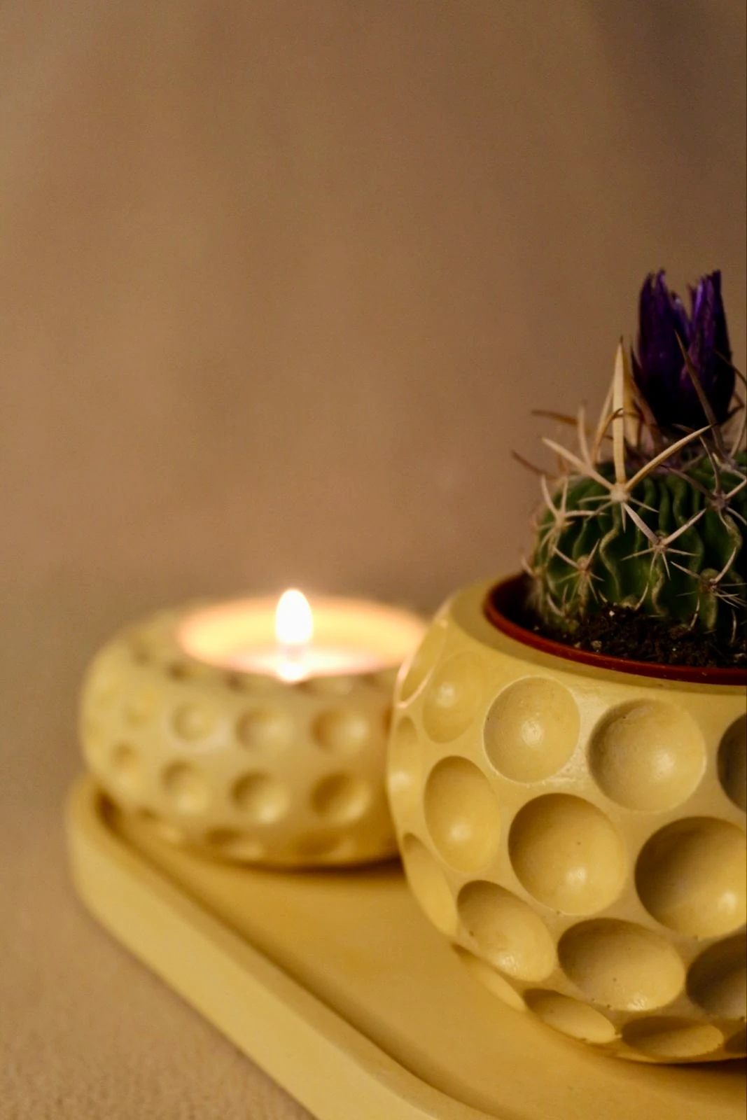 🌿 Kaktüslü Tealight Seti – SHE Kolektif