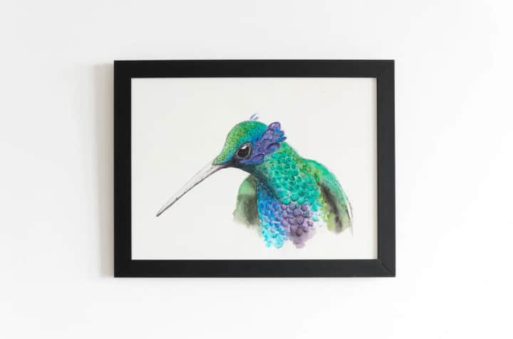 Hummingbird / Edisyonlu Baskı