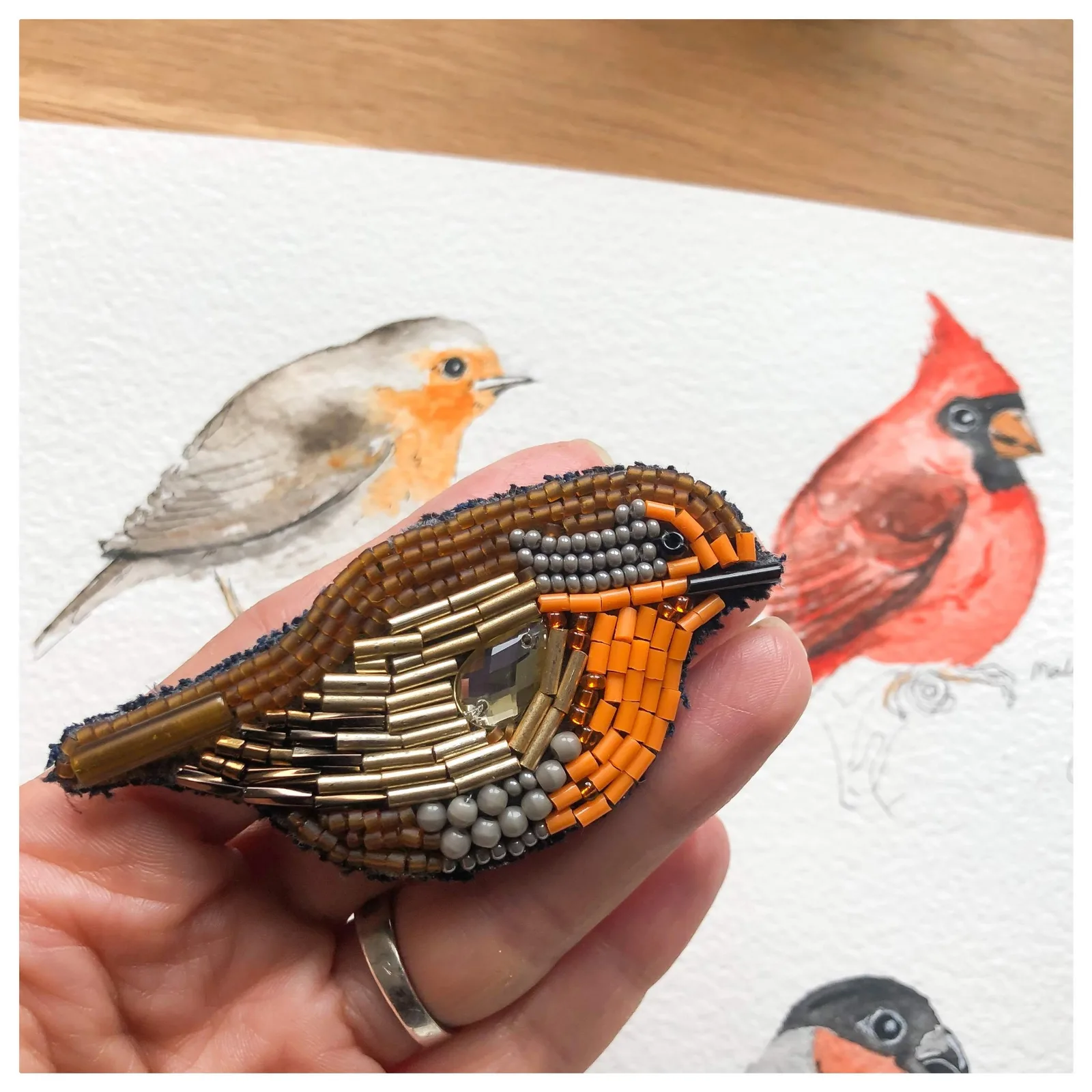 Robin (Kızılgerdan)