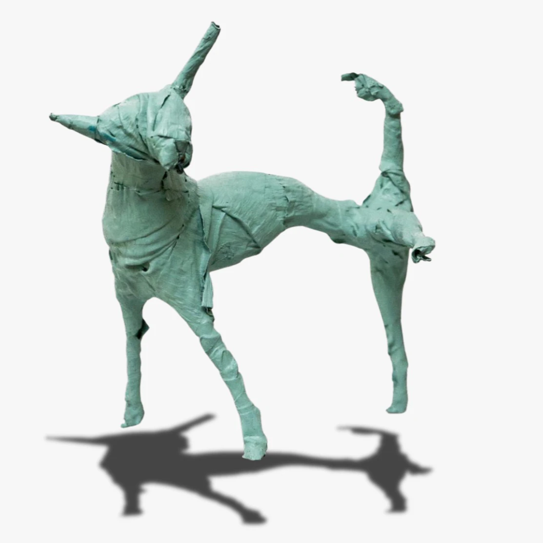 Dog / 02