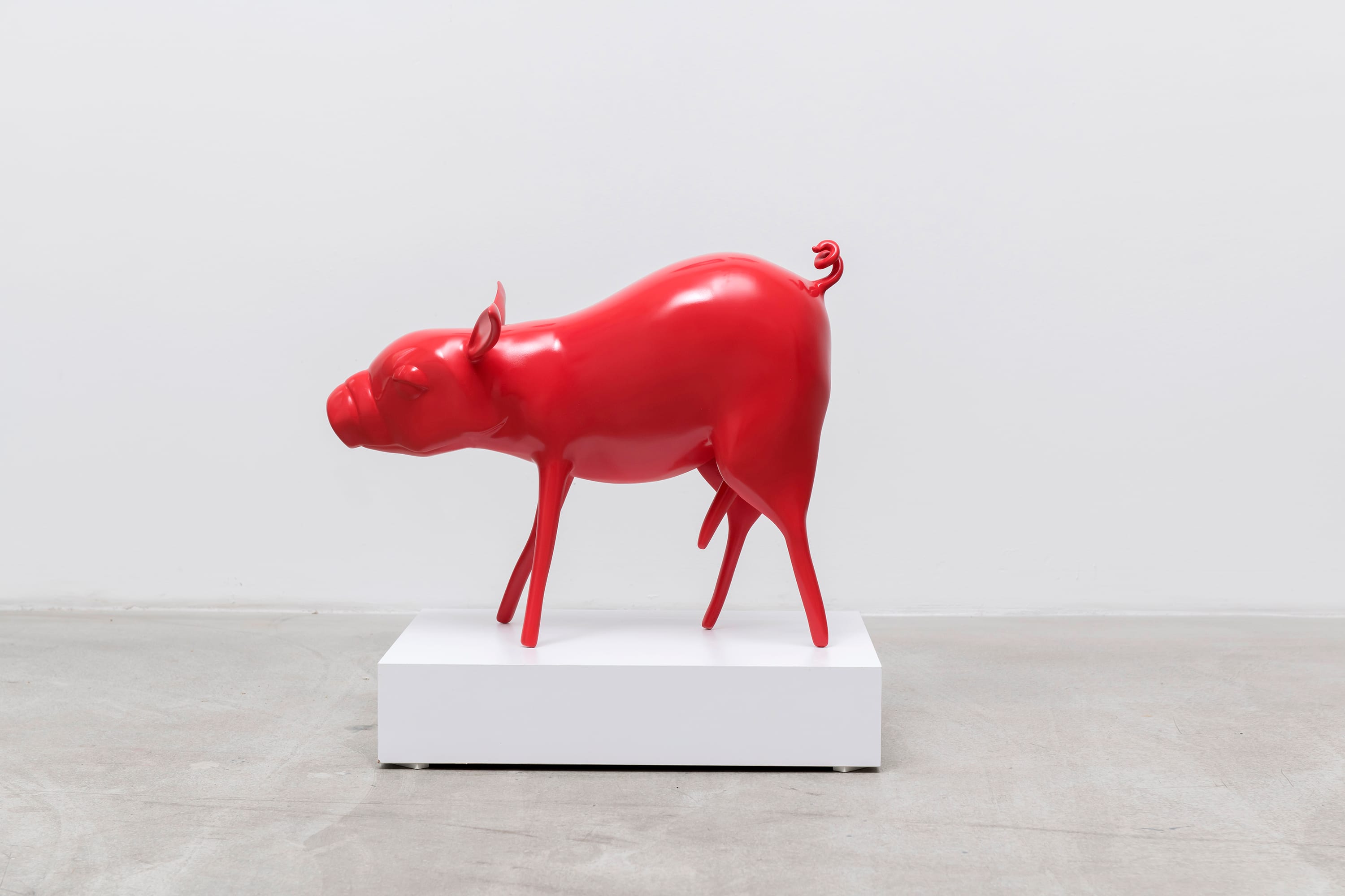 pig