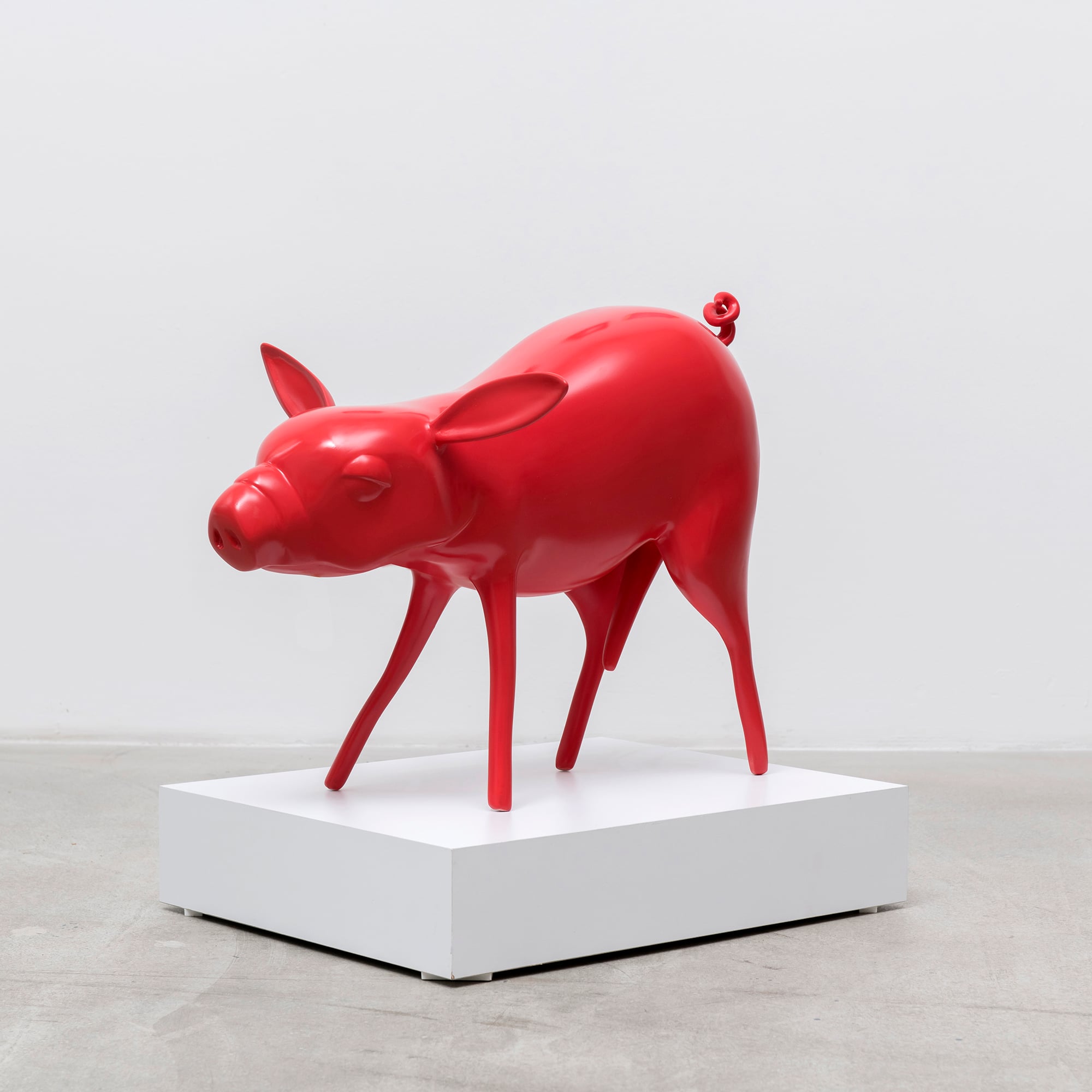 pig