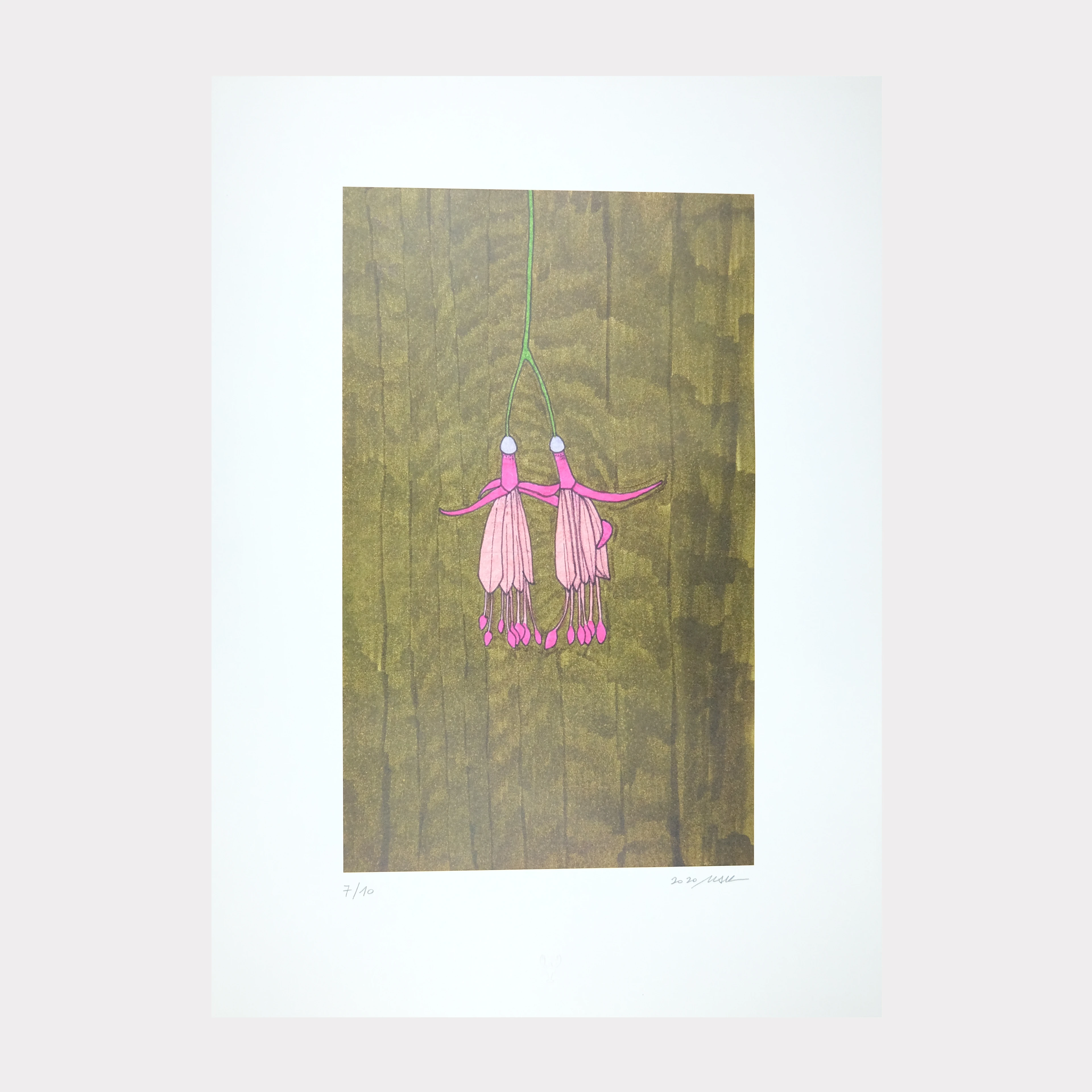 MSK Sınırlı Edisyon 11