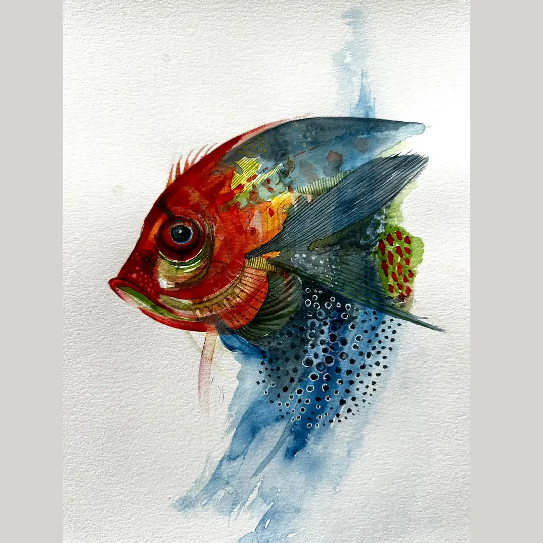 Pterophyllum