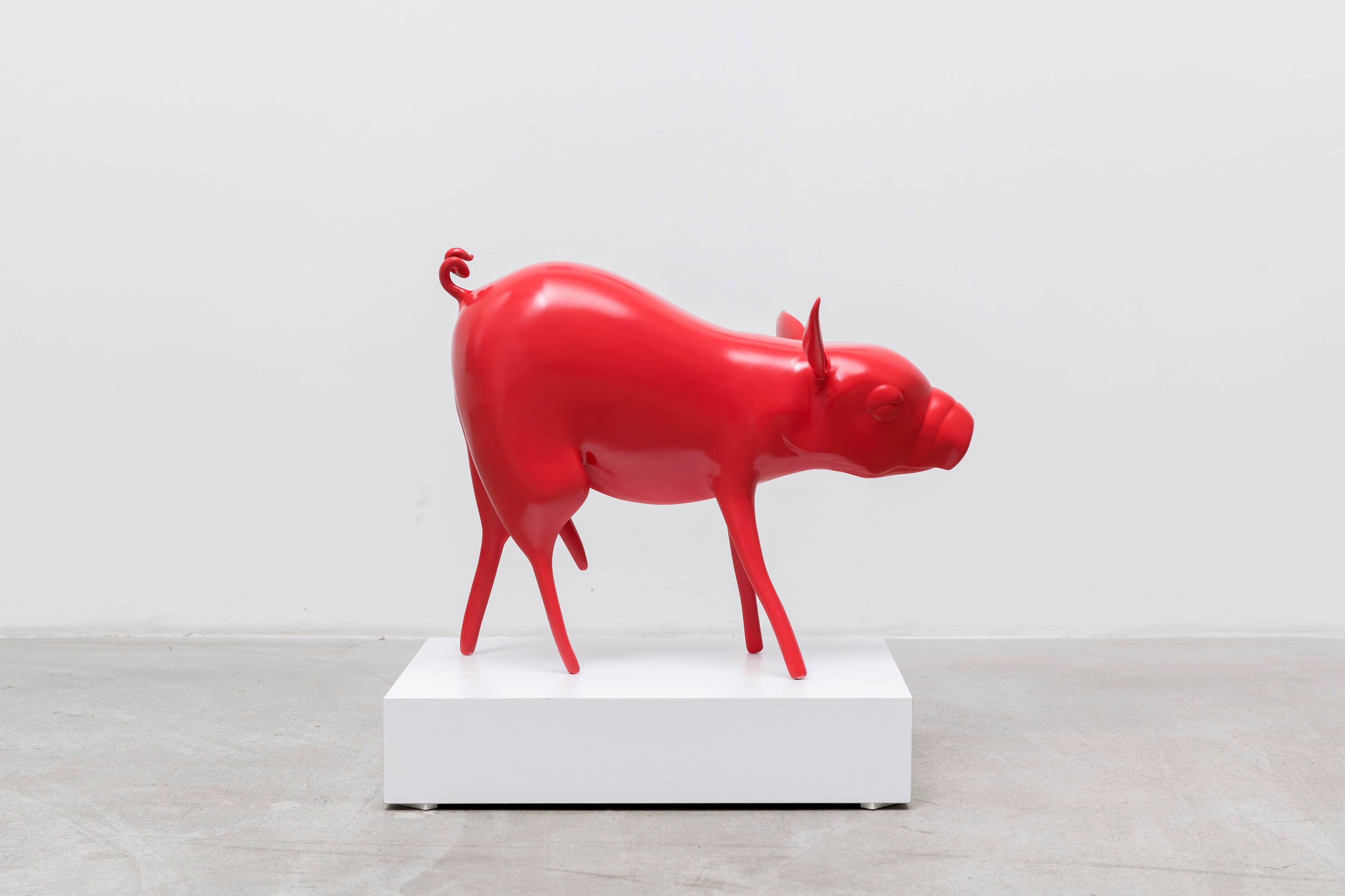 pig