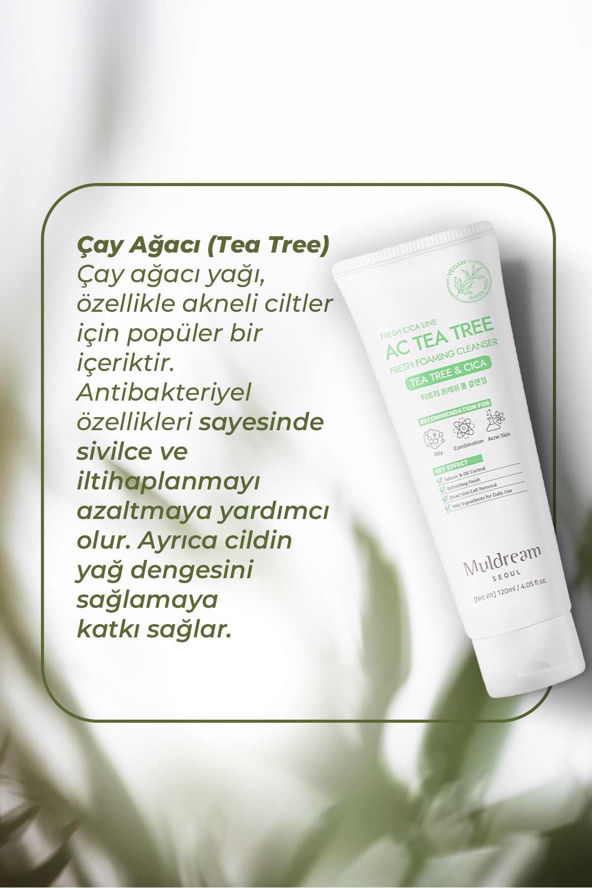 Yağlı ve Akneye Eğilimli Cilt İçin Dengeleyici Bakım Seti