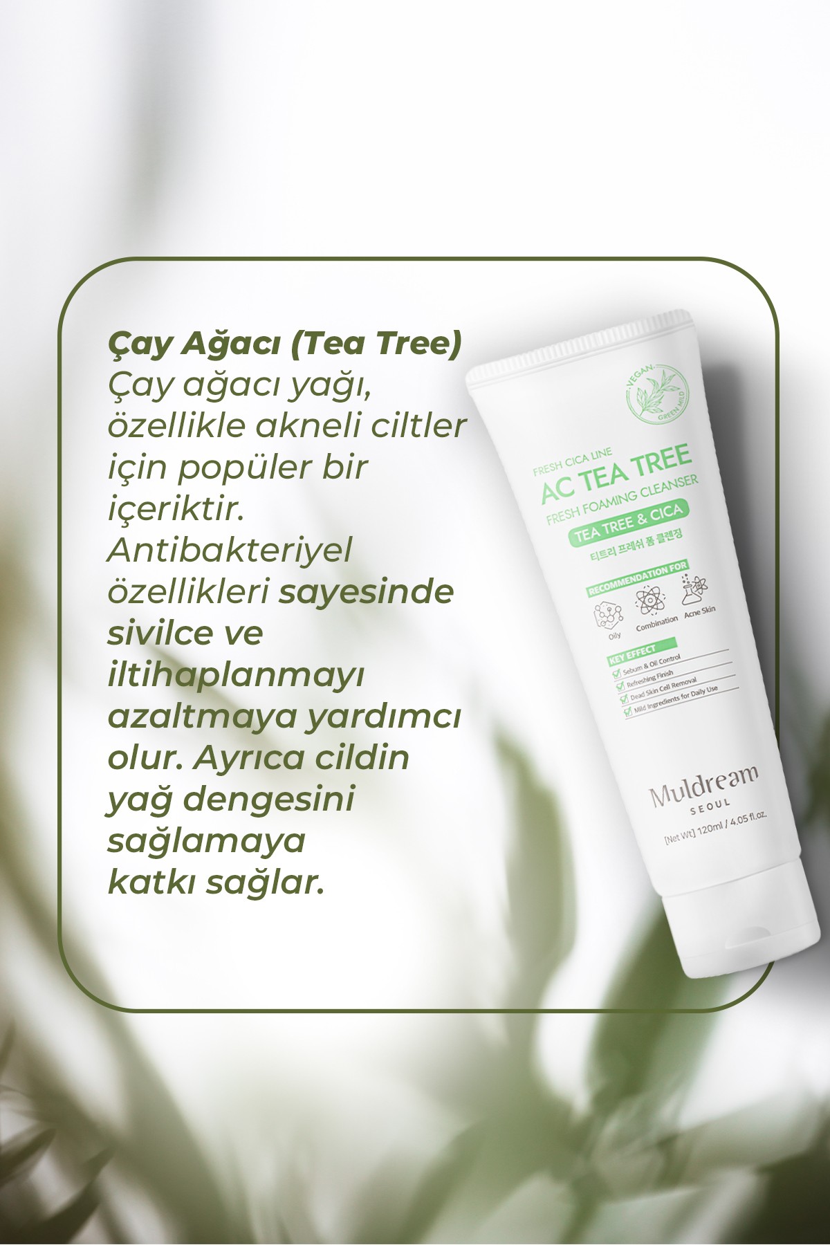 Çay Ağacı Yağı İçeren Sebum Arındırıcı Akne Karşıtı Kore Temizleyici Köpük 120ml – Yatıştırıcı & Gözenek Temizleyici